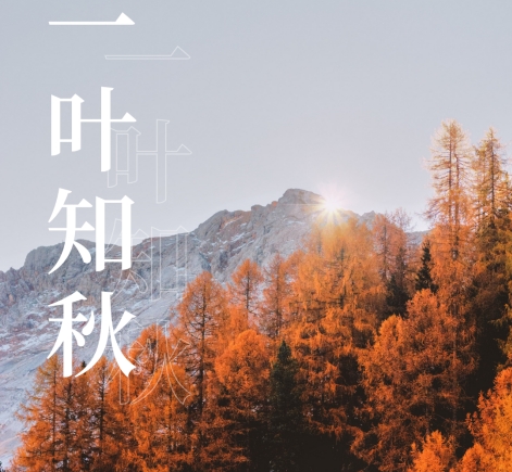 今日立秋，涼風(fēng)，微雨